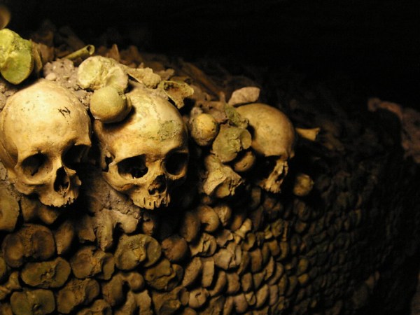 Festival de Ñatitas