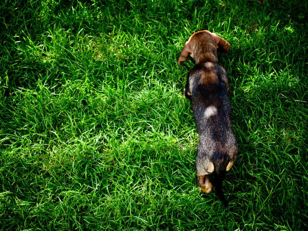 De mi conexión con el ambiente – Diana&nbsp;Carrillo